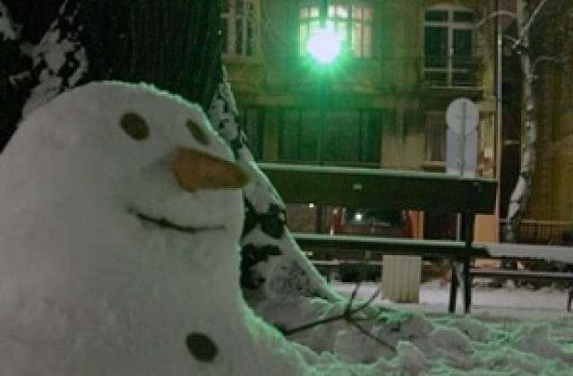 Фестивал на ледените скулптури започва във Велико Търново