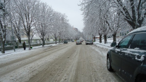 В Силистренско коли над 35 тона изчакват на паркинги да