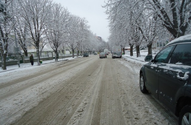 В Силистренско коли над 3,5 тона  изчакват на паркинги да отмине пристъпа на зимата