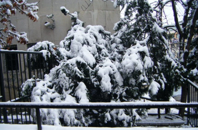 40 см достигна снежната покривка във В. Търново