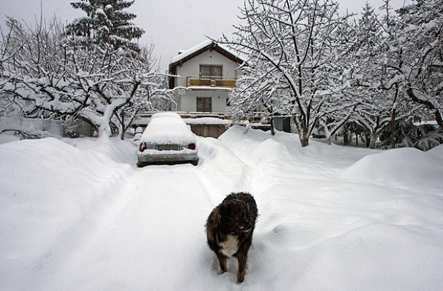 Пет населени места във Варненско са без ток