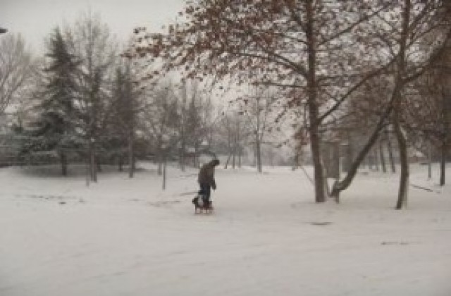 Обстановката по общини в Силистранско