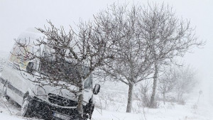 12 души бедстваха в Бяла