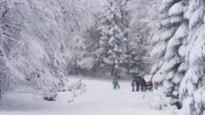Коледноновогодишна артработилничка в ПИЦ Узана