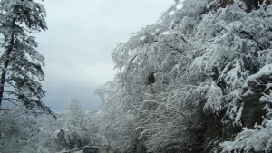 Бедствено остава положението в две общини в едната е в