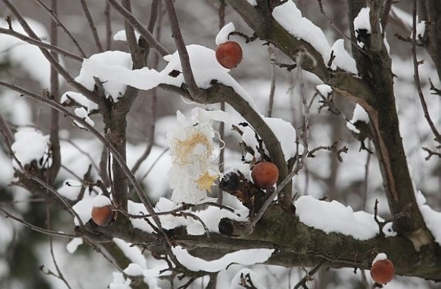 Студът продължава, жълт код във Великотърновско