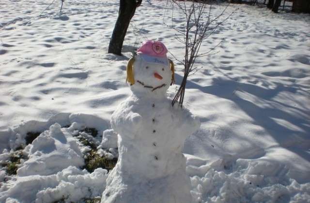 Положителни температури и без валежи през празничните дни