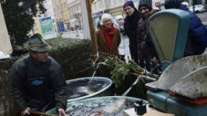 Семействата в Чехия похарчили за Коледа по 1111 евро