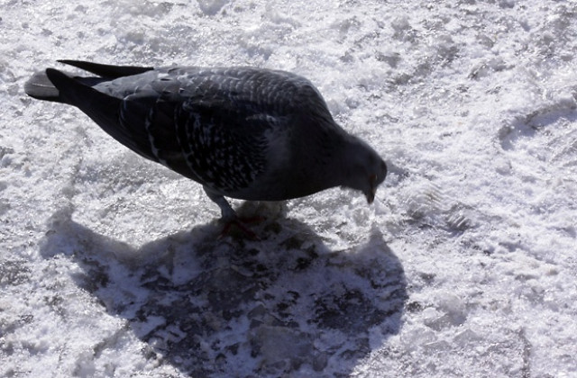 Слънчево и топло