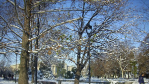 С много музика и фойерверки русенци посрещат Новата година