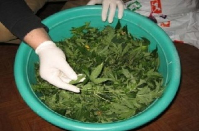 Спипаха тийнейджъри с дрога