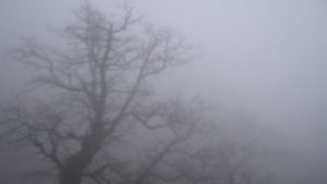 Мъгла затвори пристанището