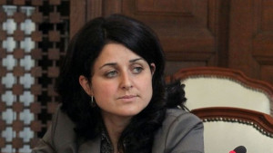 Не е оказван натиск на заместник аграрния министър за сделката