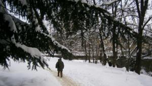 Променлива облачност