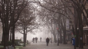 Варна и още 18 града попрашни от нормалното