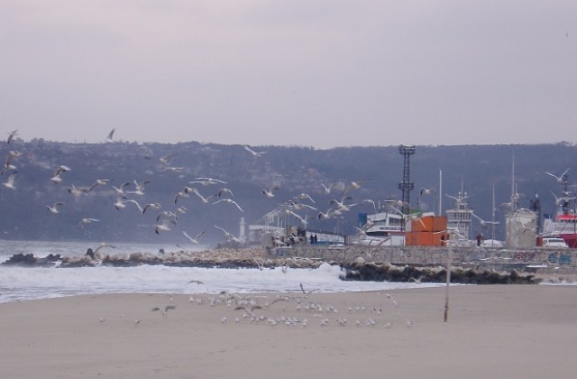 Порт Варна затворен заради силен вятър
