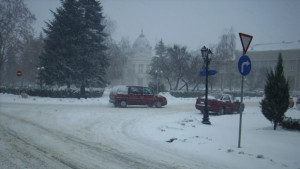 Задържаха група младежи за кражби от коли