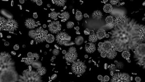 Учени са създали Тклетки за борба с ХИВ и рак