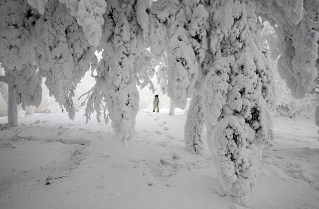 170 станаха жертвите на зимата в Русия