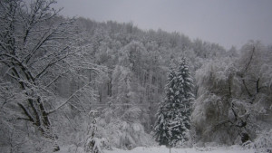 Облачността се увеличава