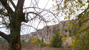 Природозащитният център край Нисово ще заработи напролет