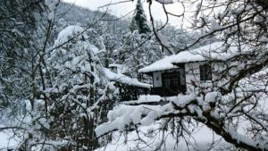 Ладуване на Боженци