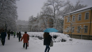 Сняг вали в цялата област