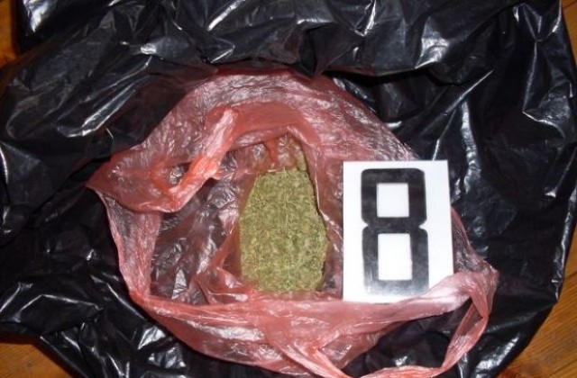 Домашна оранжерия за марихуана в Севлиево