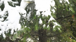 Температурите се повишават