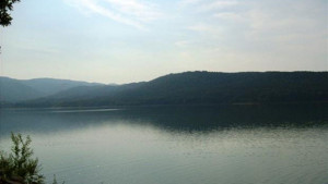 Повисока численост зимуващи птици в региона