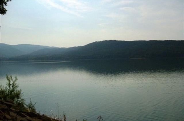 По-висока численост на зимуващите птици в региона