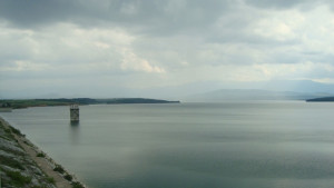 Пойните лебеди се завърнаха в язовир Огоста