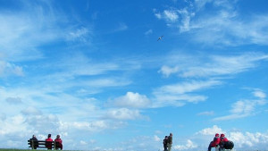 Те живеят чудесно и то без пари