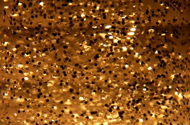 Австралиец намери 5-килограмова буца злато