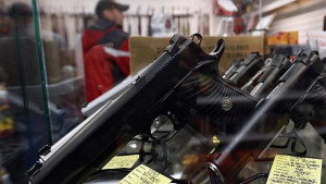 Един пистолет моля