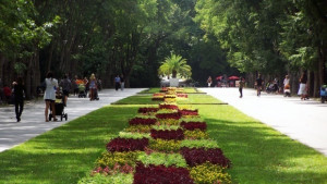 Търсят 30 000 подписа за референдум за Морската градина