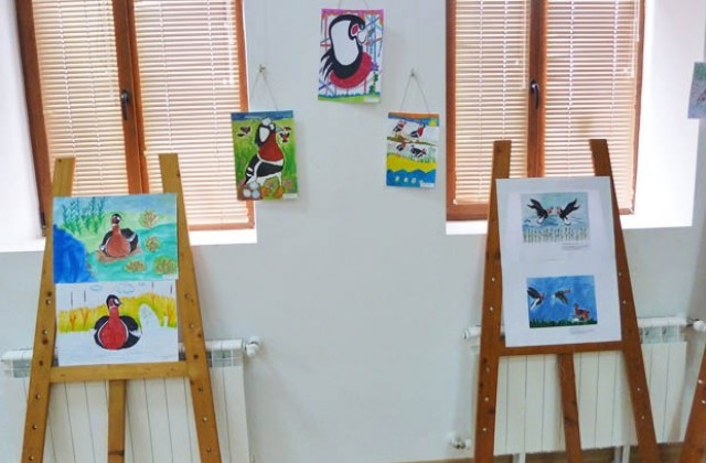 Детски рисунки, посветени на червеногушите гъски, подредиха в Зеления център