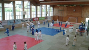 Врачанка в националното съдийство по джудо