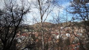 Променлива облачност