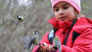 Фотоконкурс Зрънце любов във вашия обектив обяви БДЗП