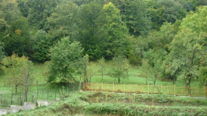 Комисията по екология към ОбСВраца не одобри предложение за управление