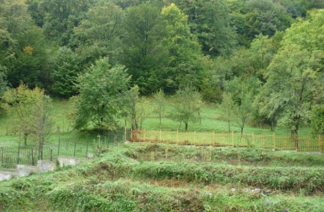 Комисията по екология към ОбС-Враца не одобри предложение за управление на горите