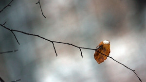 Облачно очакват се нови валежи