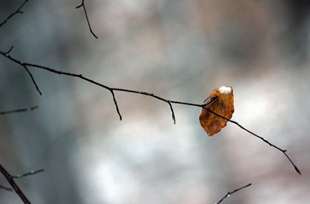 Облачно, очакват се нови валежи