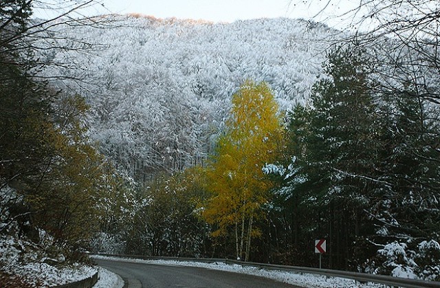 Обилни снеговалежи се очакват в Смолянско