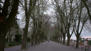 МВРВидин готови за референдума