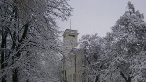 Студено с валежи от сняг
