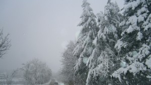 Пътната обстановка