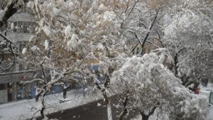 Пътят ВетренНиколаево остава затворен