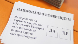 1993 избирателна активност в областта